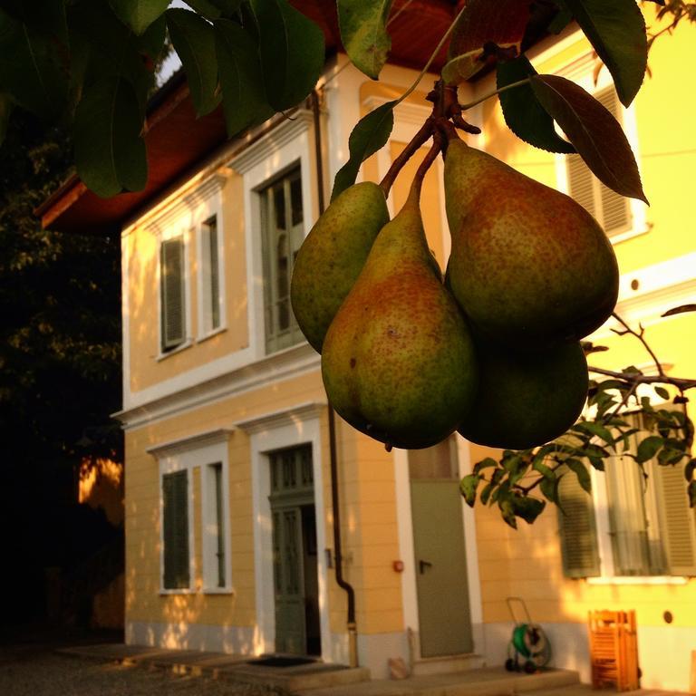 Villa D'Azeglio Albiano dʼIvrea Zewnętrze zdjęcie