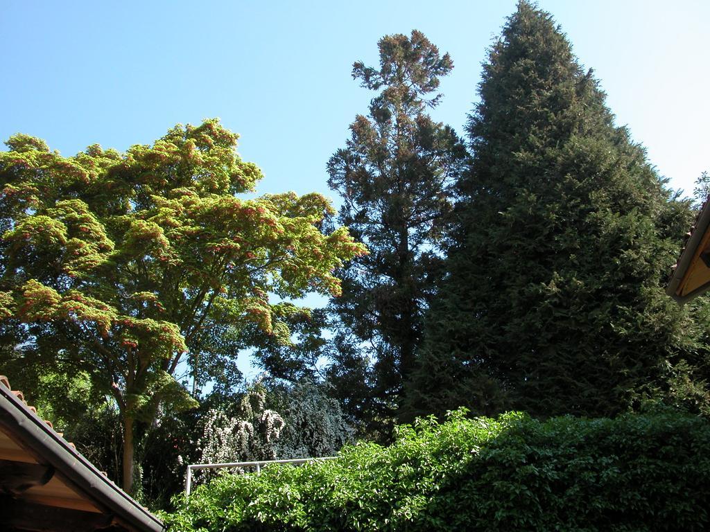 Villa D'Azeglio Albiano dʼIvrea Zewnętrze zdjęcie