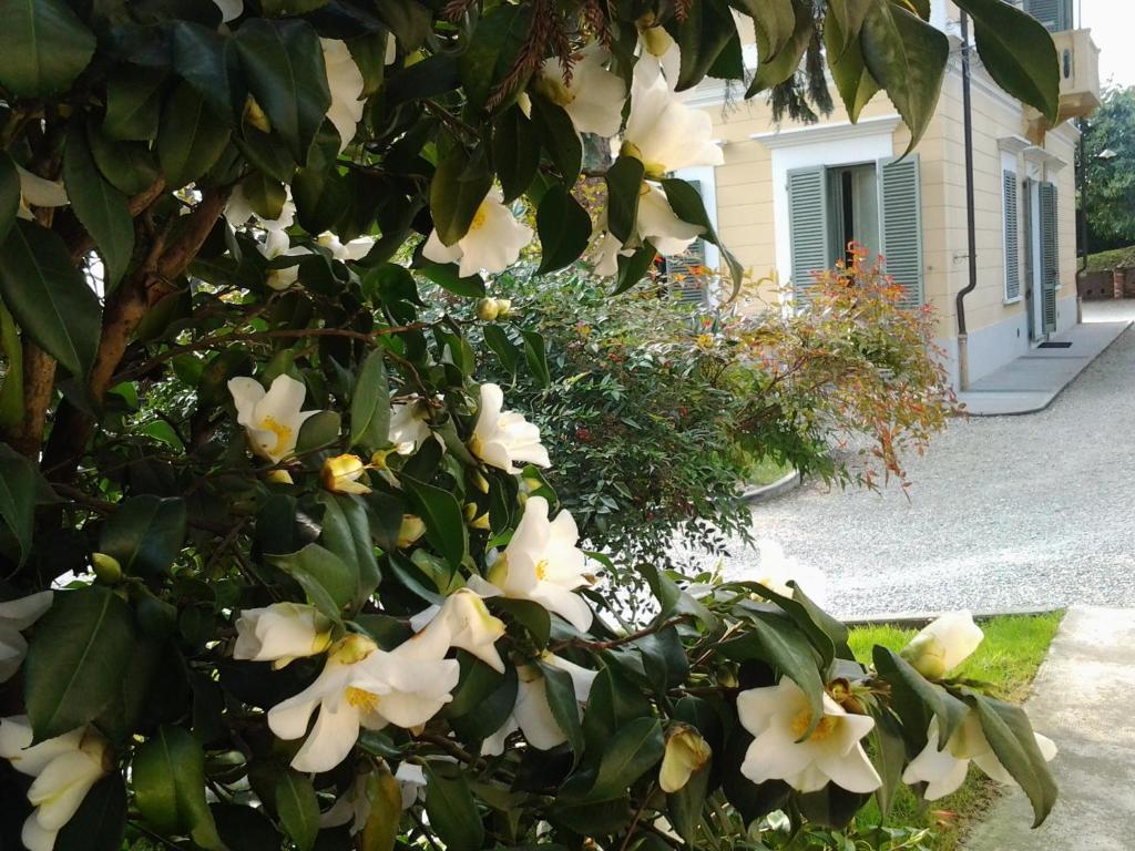 Villa D'Azeglio Albiano dʼIvrea Zewnętrze zdjęcie