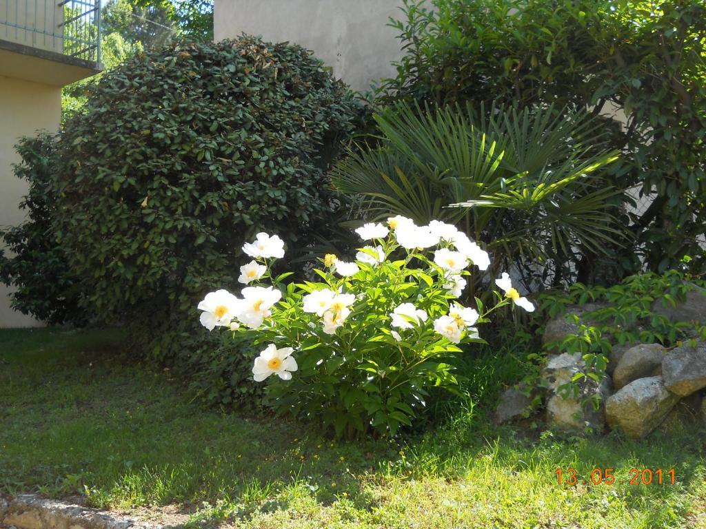 Villa D'Azeglio Albiano dʼIvrea Zewnętrze zdjęcie
